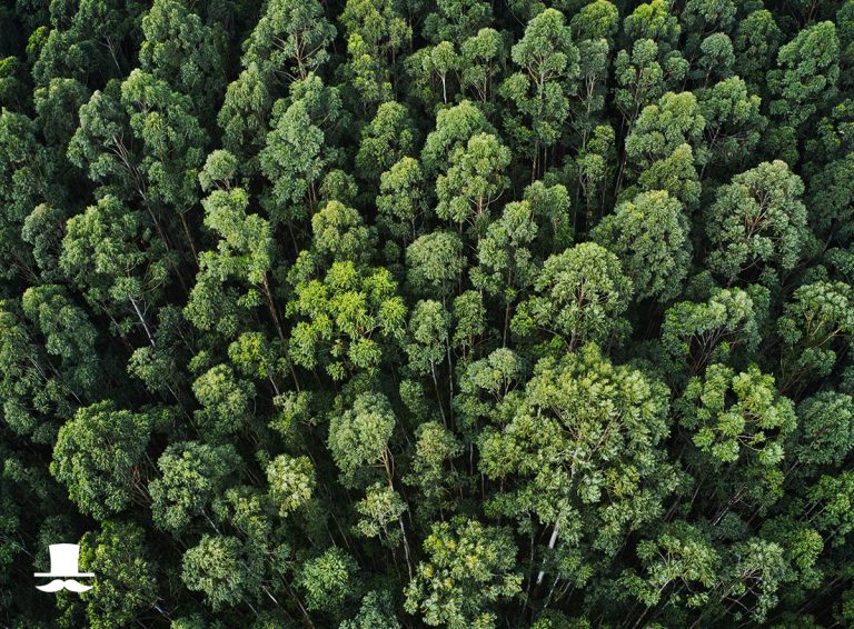 La Conciergerie Écologique : Une tendance montante dans les locations Airbnb